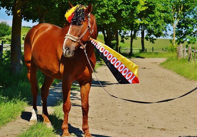 要想真的在 要想真的在