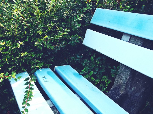 這些問題顯 這些問題顯