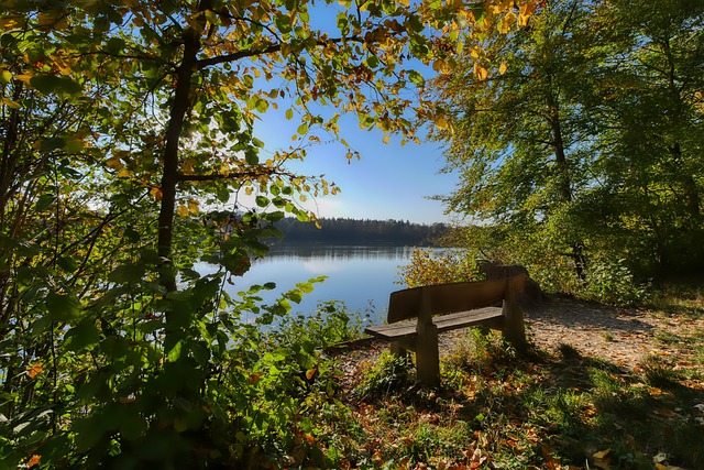 的身體康復 的身體康復